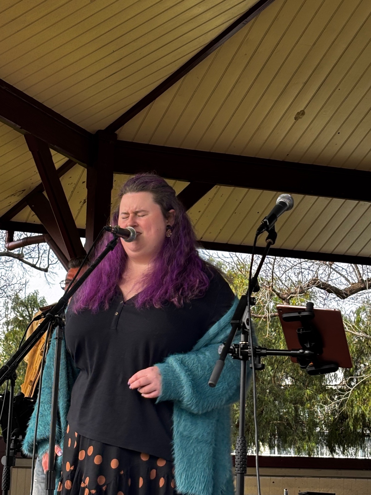 The Black Curtains - Photo 23