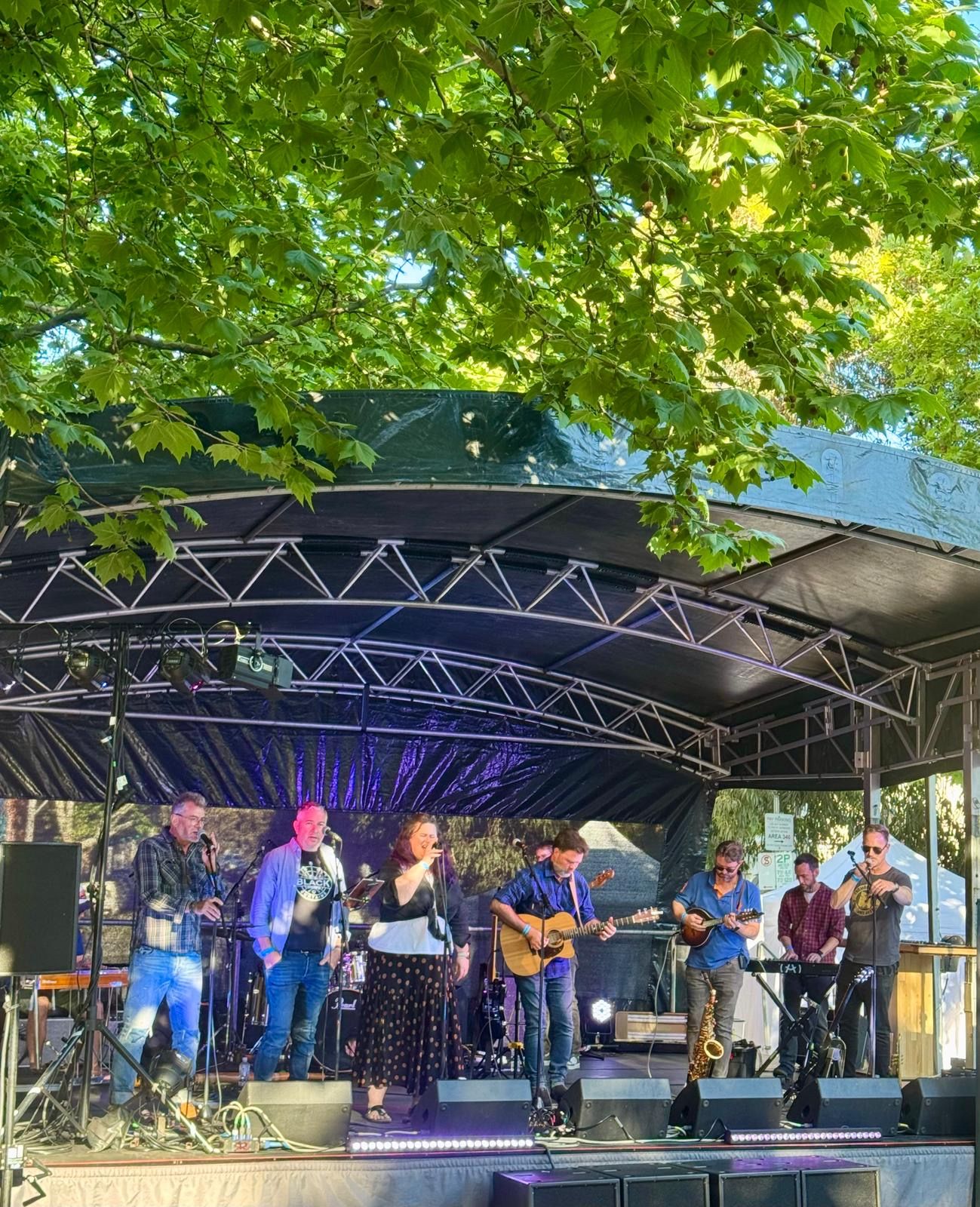 The Black Curtains Live Performance - Photo 2